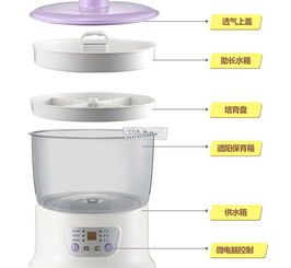 北京小熊DYJ-S6108豆芽機批發代理廠家、產品信息與技術開發全解析